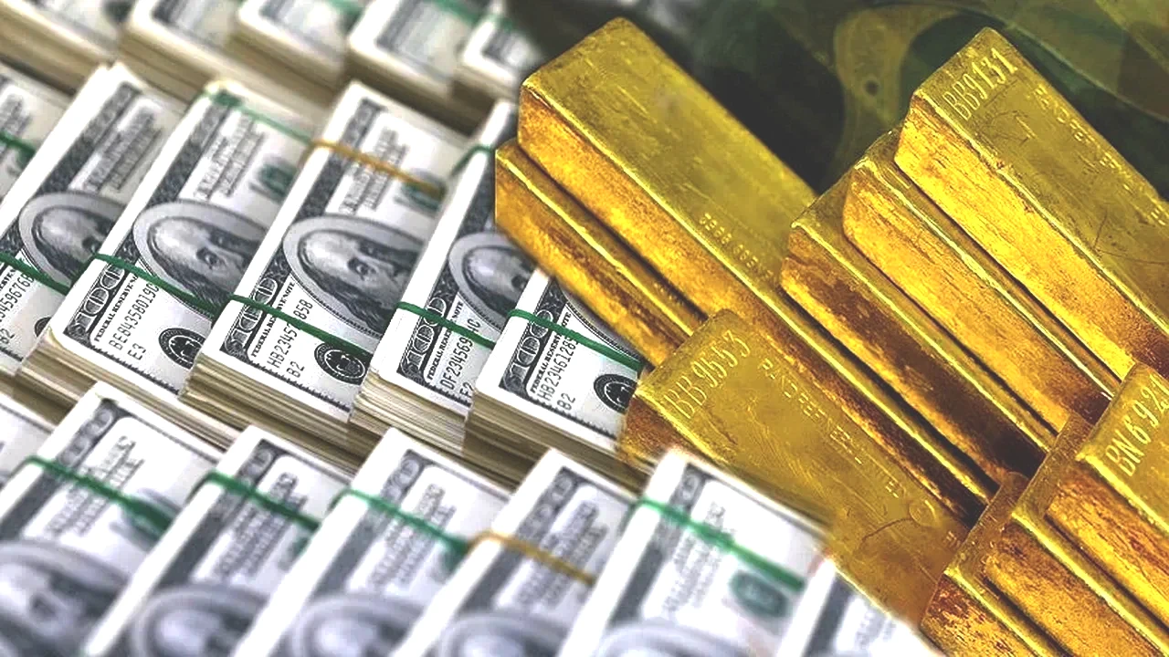  döviz yatırımcısı