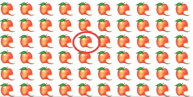 Farklı elmayı 6 saniyede bulanlar dahi sayılıyor - Resim : 5